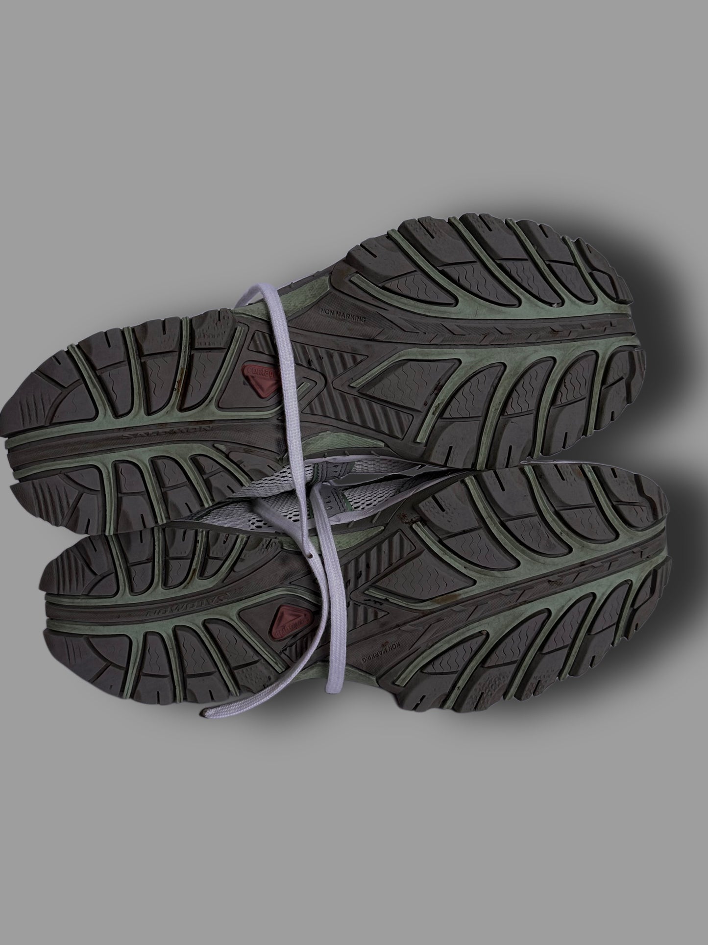 Salomon Techamphibian 2(39,5)