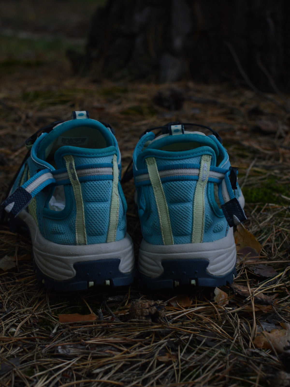 Salomon Techamphibian 2(38,5)⁺₊✧
