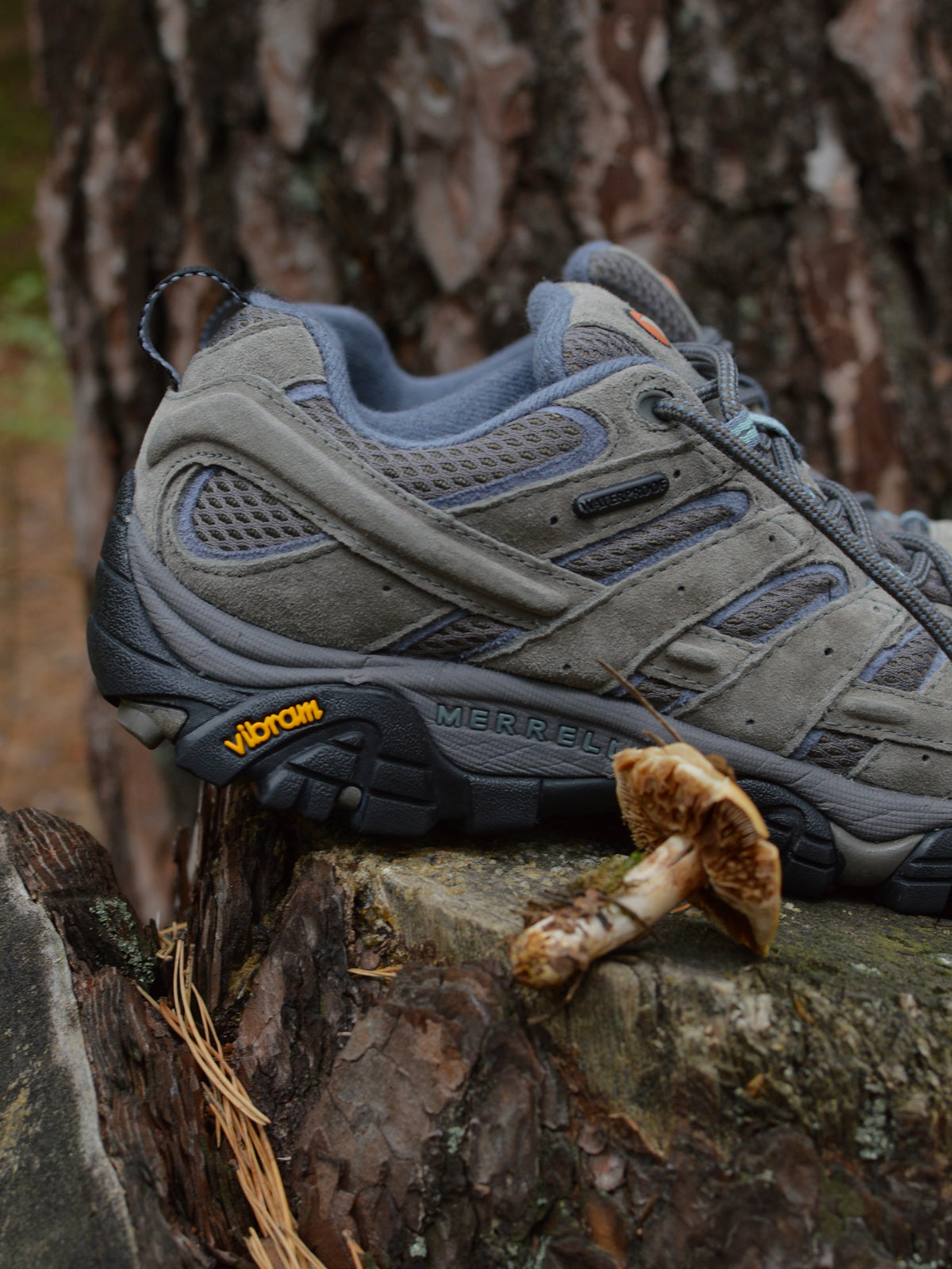 Merrell Moab 3 2021 GORETEX(39)