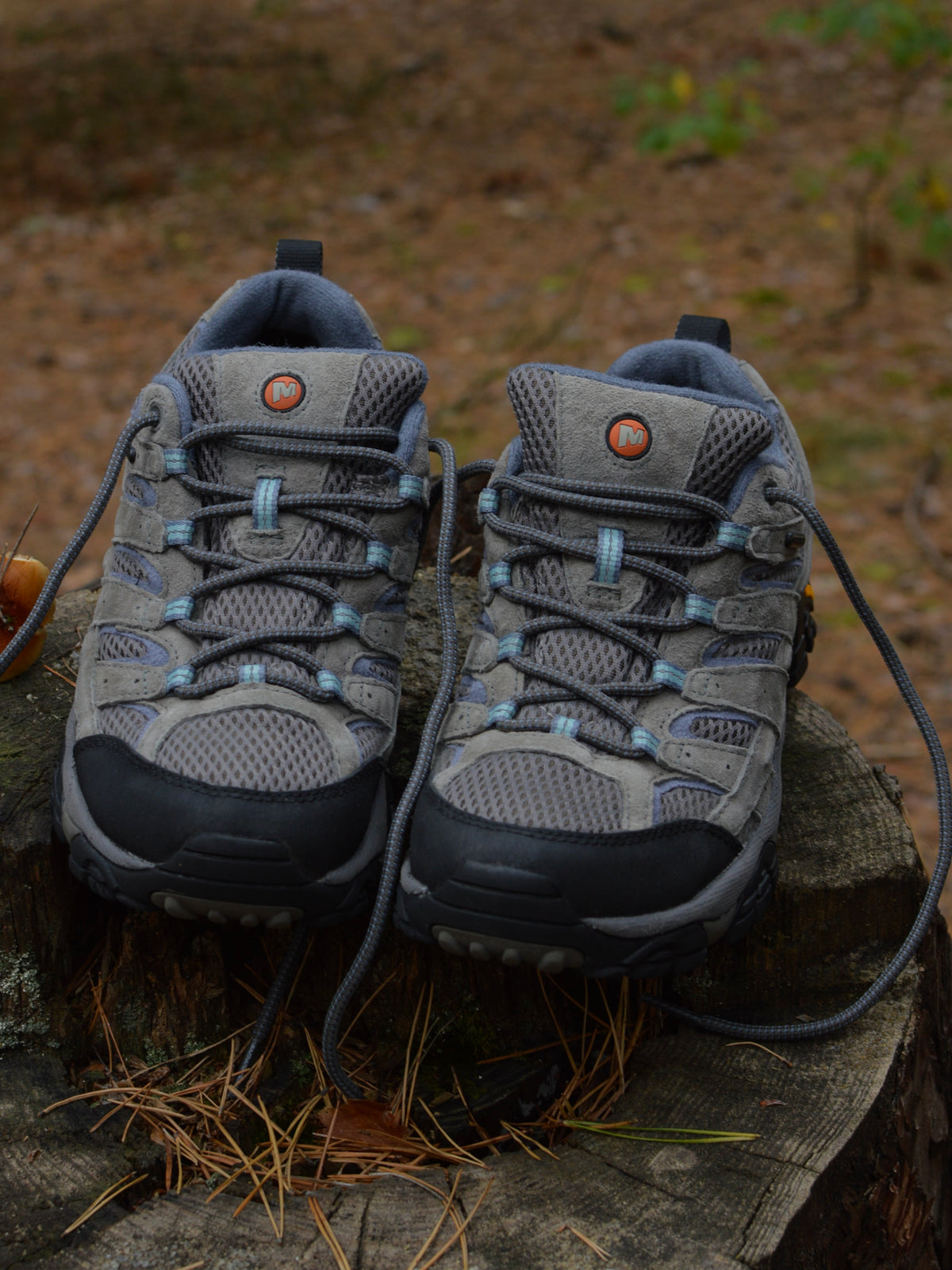 Merrell Moab 3 2021 GORETEX(39)