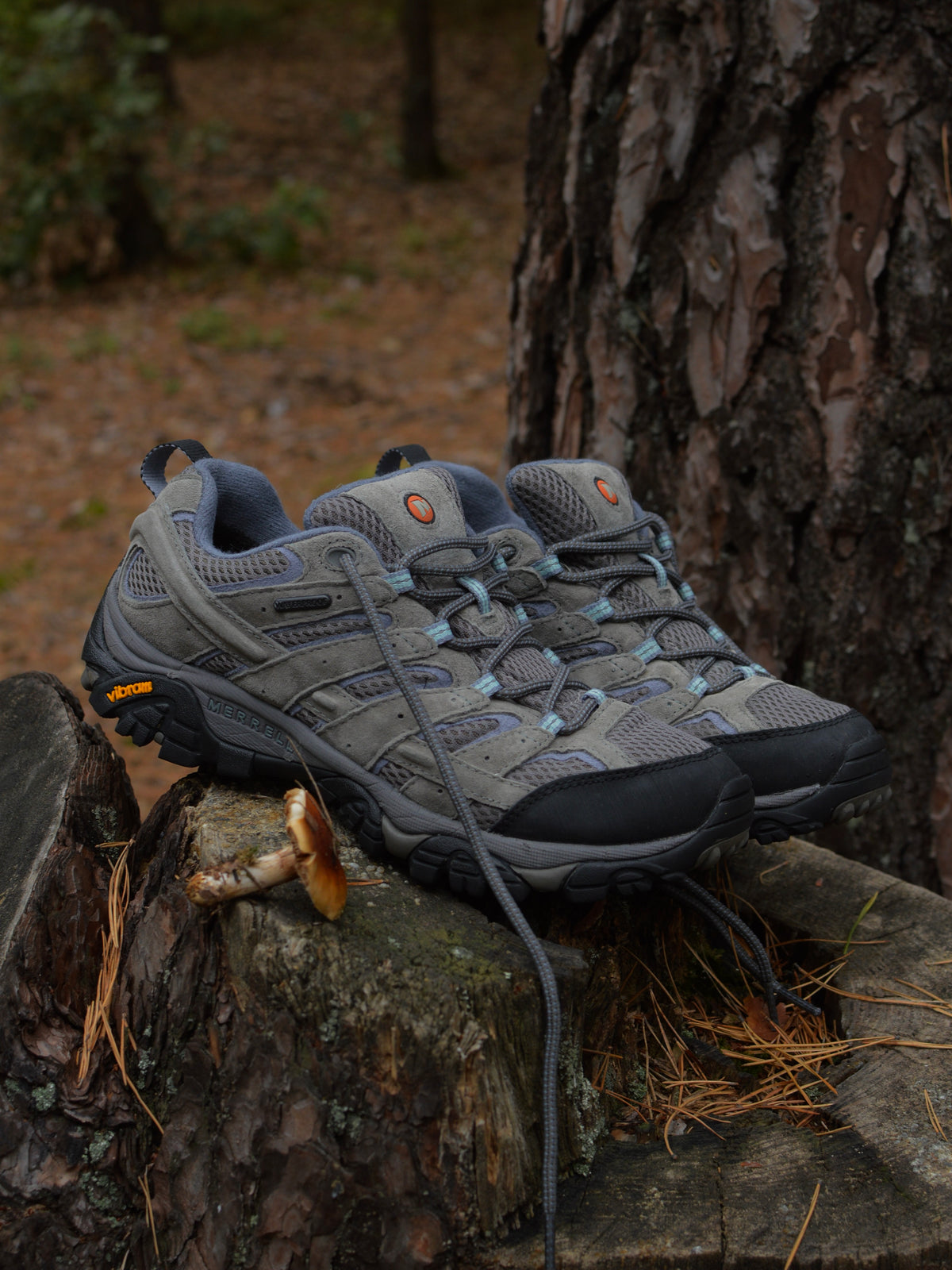 Merrell Moab 3 2021 GORETEX(39)