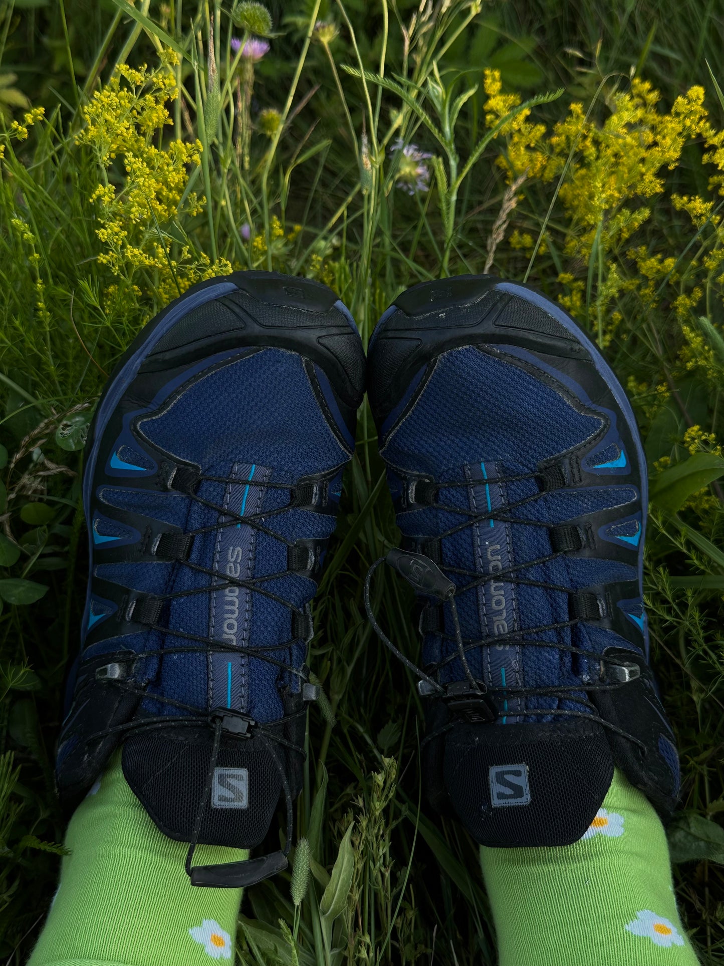 Salomon X Ultra GORETEX (37,5)