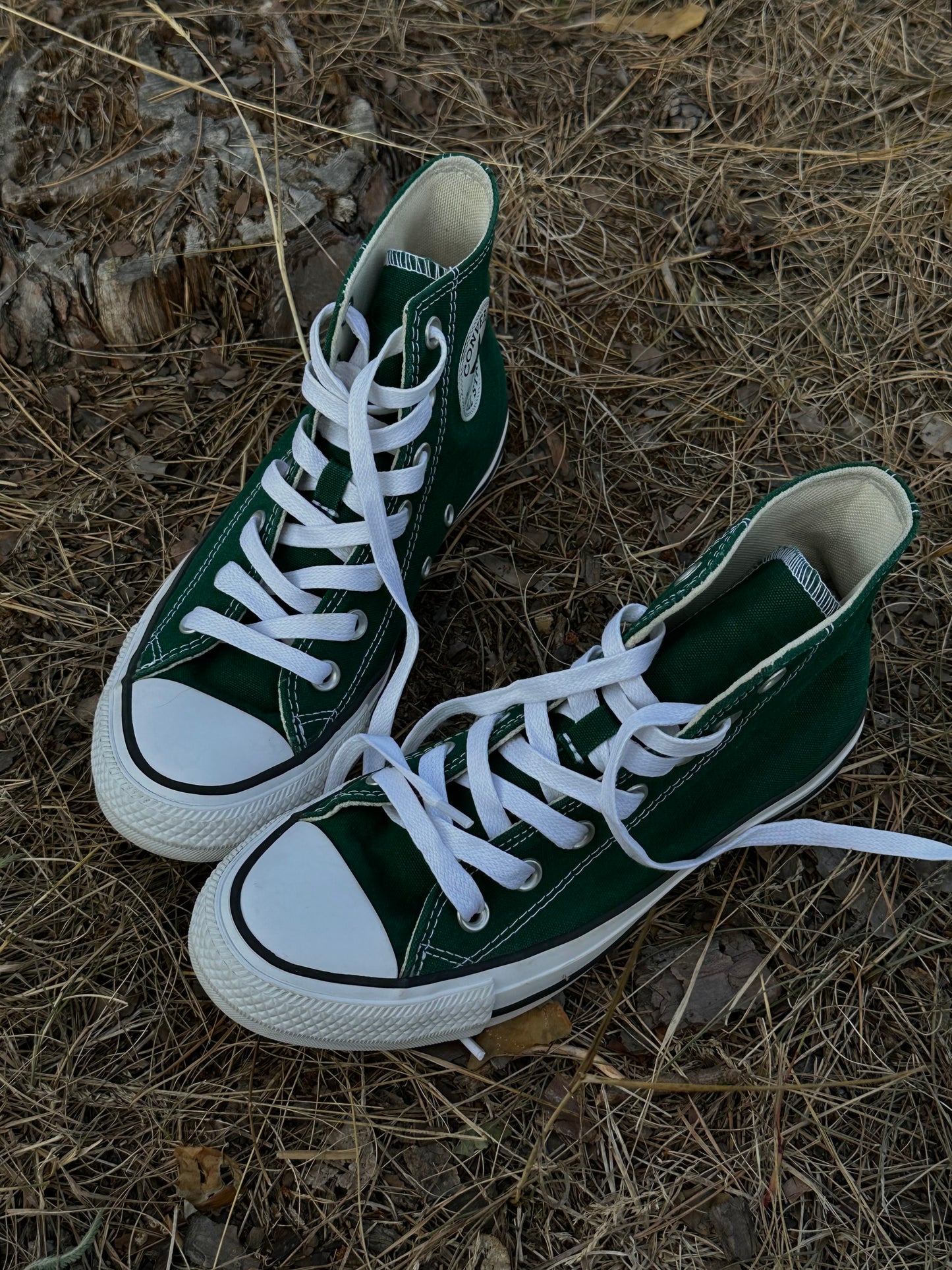 хвойні Converse All Star Hi forest green(38)☾⋆⁺