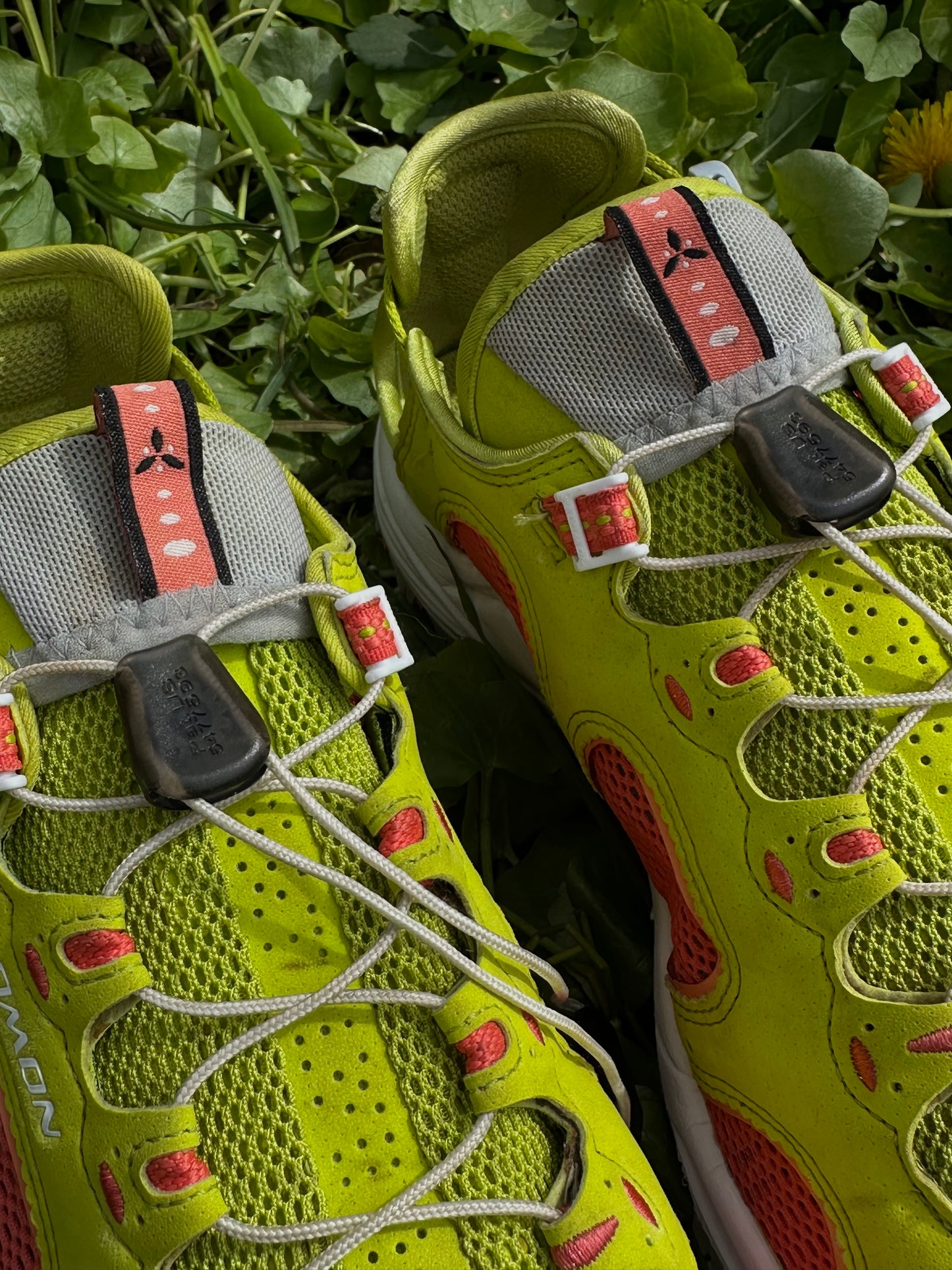 Salomon techamphibian 3 Froggy Green/Orange 2017(40)