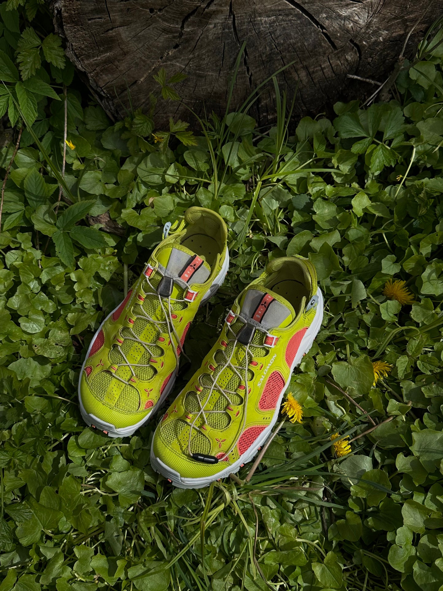 Salomon techamphibian 3 Froggy Green/Orange 2017(40)