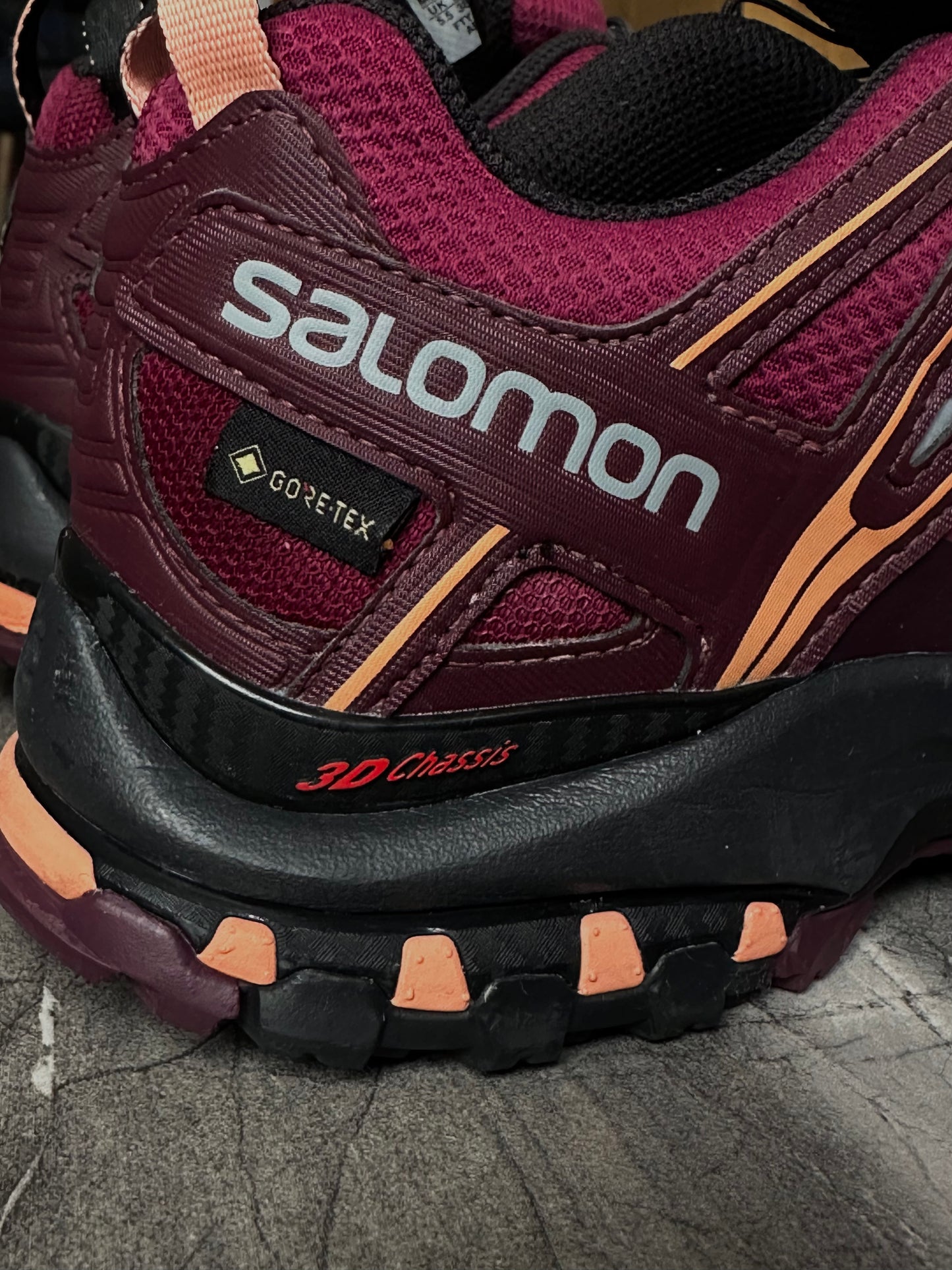 Salomon XA Pro 3D GORETEX W 2019(38)