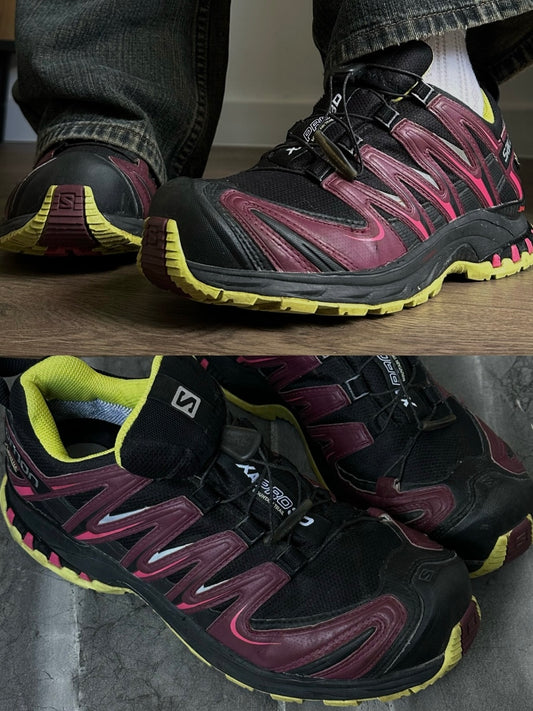 Salomon XA Pro 3D GTX W (38,5)